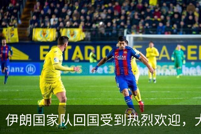 伊朗国家队回国受到热烈欢迎，大批球迷接机