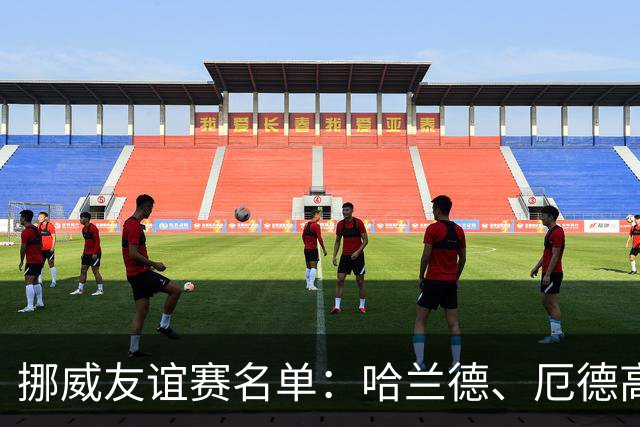 挪威友谊赛名单：哈兰德、厄德高领衔