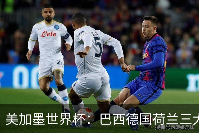 美加墨世界杯：巴西德国荷兰三大豪门将出战